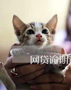 网贷逾期过还可以网贷吗 网贷逾期过还可以网贷吗