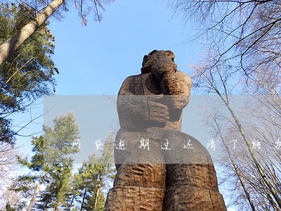 网贷逾期过还清了能办信用卡吗 网贷逾期过还清了能办信用卡吗