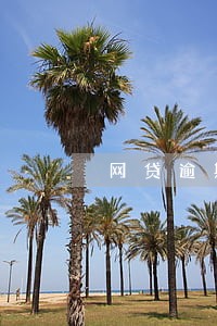 网贷逾期过还清了能办房贷吗 网贷逾期过还清了能办房贷吗