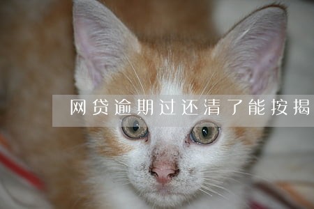 网贷逾期过还清了能按揭买车吗 网贷逾期过还清了能按揭买车吗
