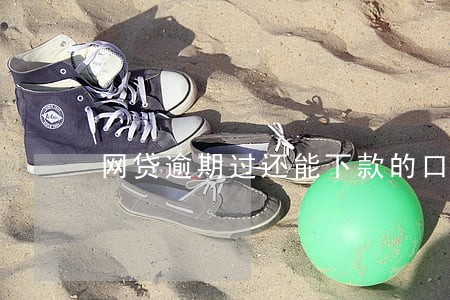 网贷逾期过还能下款的口子 网贷逾期过还能下款的口子