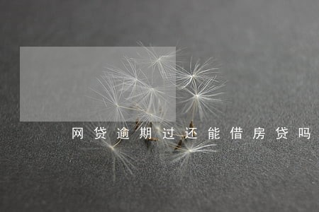 网贷逾期过还能借房贷吗