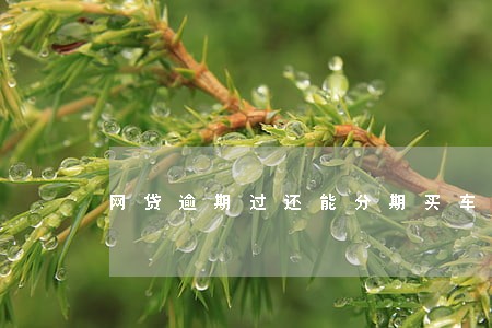 网贷逾期过还能分期买车嘛 网贷逾期过还能分期买车嘛