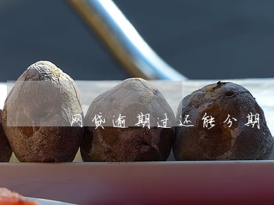 网贷逾期过还能分期整形