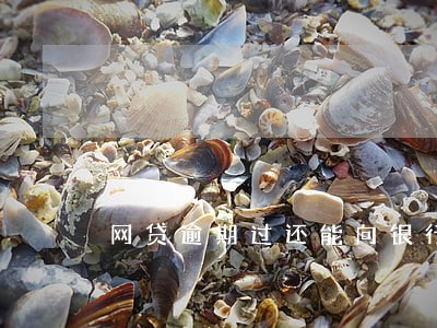 网贷逾期过还能向银行贷款吗 网贷逾期过还能向银行贷款吗