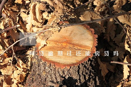 网贷逾期过还能房贷吗 网贷逾期过还能房贷吗