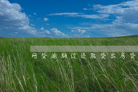 网贷逾期过还能贷出房贷吗 网贷逾期过还能贷出房贷吗