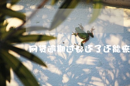 网贷逾期过都还了还能恢复吗 网贷逾期过都还了还能恢复吗