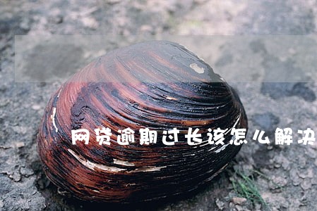 网贷逾期过长该怎么解决