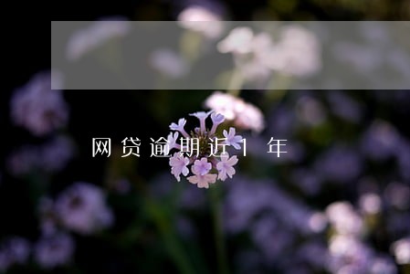 网贷逾期近1年 网贷逾期近1年