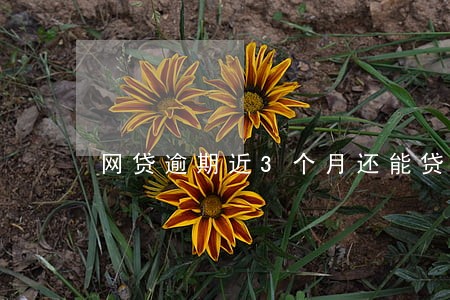 网贷逾期近3个月还能贷吗 网贷逾期近3个月还能贷吗