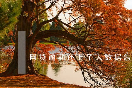网贷逾期还上了大数据怎么办 网贷逾期还上了大数据怎么办