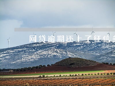 网贷逾期还上了征信多久更新 网贷逾期还上了征信多久更新