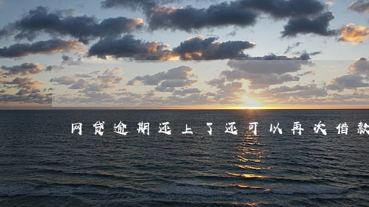 网贷逾期还上了还可以再次借款吗 网贷逾期还上了还可以再次借款吗