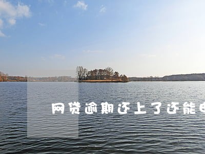 网贷逾期还上了还能申请房贷 网贷逾期还上了还能申请房贷