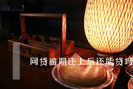 网贷逾期还上后还能贷吗 网贷逾期还上后还能贷吗
