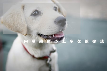 网贷逾期还上多久能申请信用卡 网贷逾期还上多久能申请信用卡