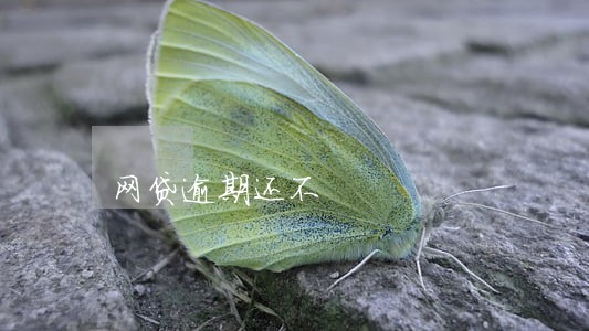 网贷逾期还不 网贷逾期还不