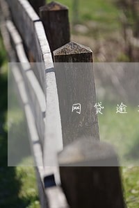 网贷逾期还不上会去家里吗 网贷逾期还不上会去家里吗