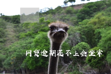 网贷逾期还不上会坐牢 网贷逾期还不上会坐牢