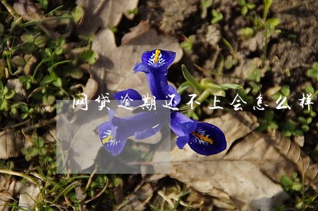 网贷逾期还不上会怎么样 网贷逾期还不上会怎么样
