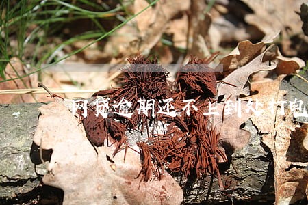 网贷逾期还不上到处打电话 网贷逾期还不上到处打电话