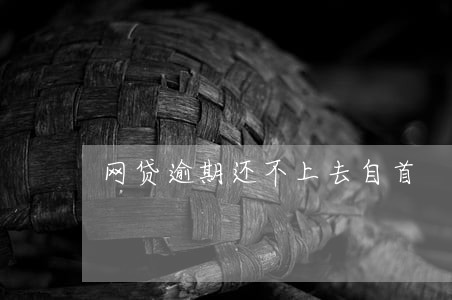 网贷逾期还不上去自首 网贷逾期还不上去自首