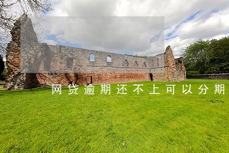 网贷逾期还不上可以分期还吗 网贷逾期还不上可以分期还吗