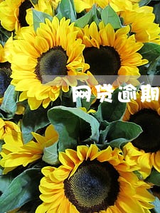 网贷逾期还不上咋么办 网贷逾期还不上咋么办
