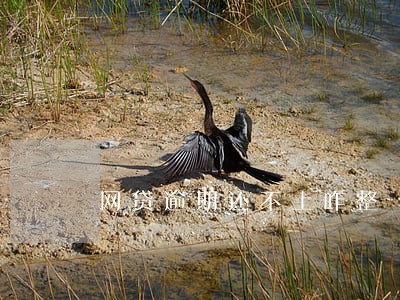 网贷逾期还不上咋整 网贷逾期还不上咋整