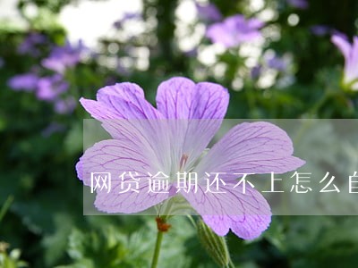 网贷逾期还不上怎么自首 网贷逾期还不上怎么自首