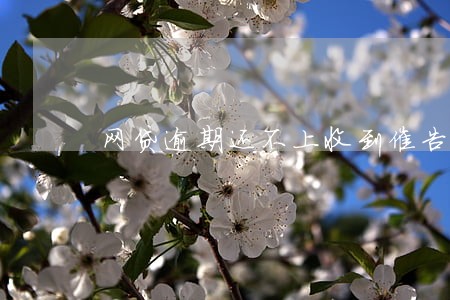 网贷逾期还不上收到催告信 网贷逾期还不上收到催告信
