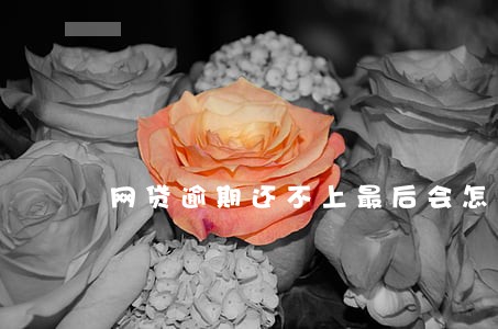 网贷逾期还不上最后会怎样 网贷逾期还不上最后会怎样