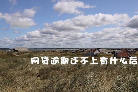 网贷逾期还不上有什么后果