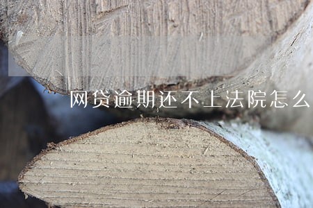 网贷逾期还不上法院怎么处理 网贷逾期还不上法院怎么处理