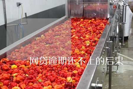网贷逾期还不上的后果 网贷逾期还不上的后果