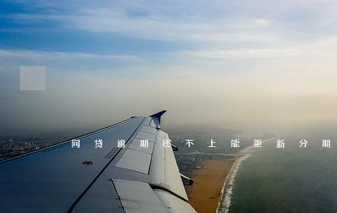 网贷逾期还不上能重新分期吗 网贷逾期还不上能重新分期吗