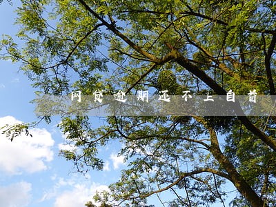 网贷逾期还不上自首 网贷逾期还不上自首