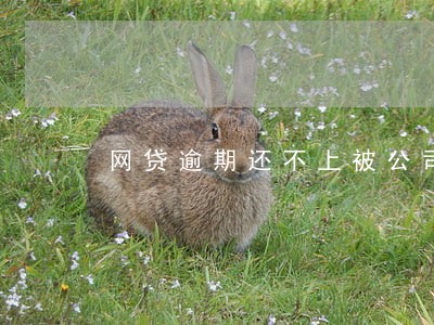 网贷逾期还不上被公司开除了 网贷逾期还不上被公司开除了
