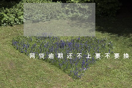 网贷逾期还不上要不要换号码 网贷逾期还不上要不要换号码