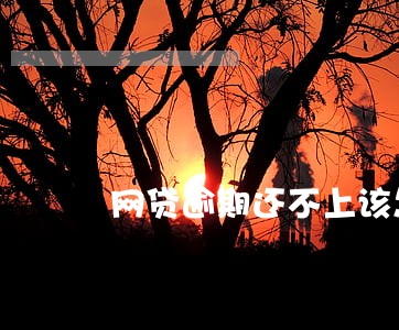 网贷逾期还不上该怎么强制 网贷逾期还不上该怎么强制