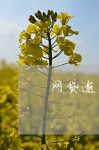 网贷逾期还不上违法吗 网贷逾期还不上违法吗