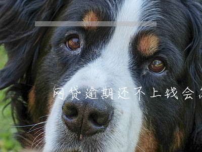 网贷逾期还不上钱会怎么样 网贷逾期还不上钱会怎么样