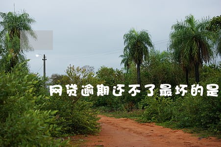 网贷逾期还不了最坏的是什么