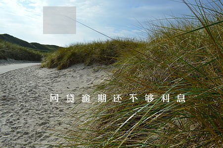 网贷逾期还不够利息 网贷逾期还不够利息