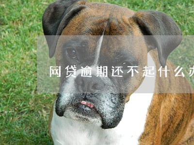 网贷逾期还不起什么办