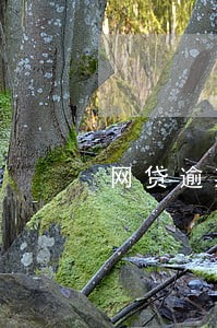 网贷逾期还不起可以只还本金吗 网贷逾期还不起可以只还本金吗