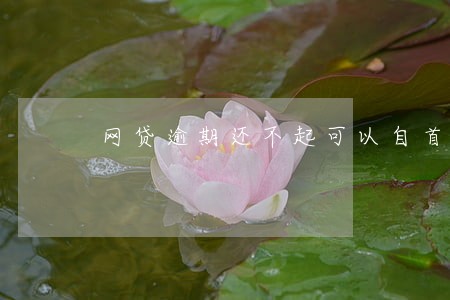 网贷逾期还不起可以自首吗 网贷逾期还不起可以自首吗