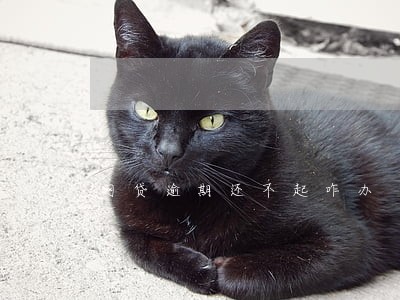 网贷逾期还不起咋办 网贷逾期还不起咋办