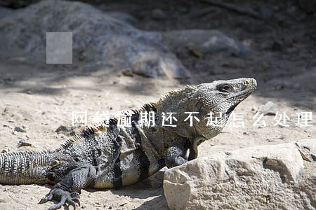 网贷逾期还不起怎么处理呢 网贷逾期还不起怎么处理呢